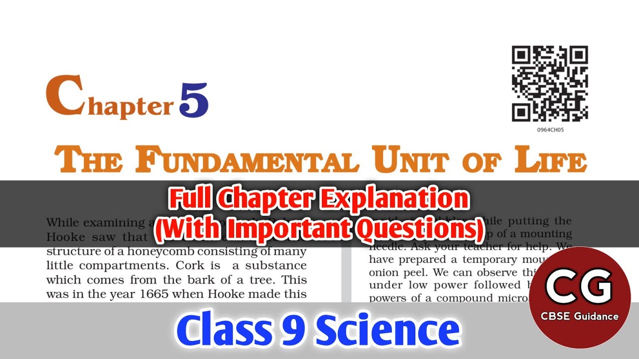 The Fundamental Unit Of Life Class 9 Important Questions CBSE Guidance   Maxresdefault5 