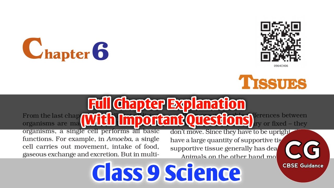 case study questions from tissues class 9