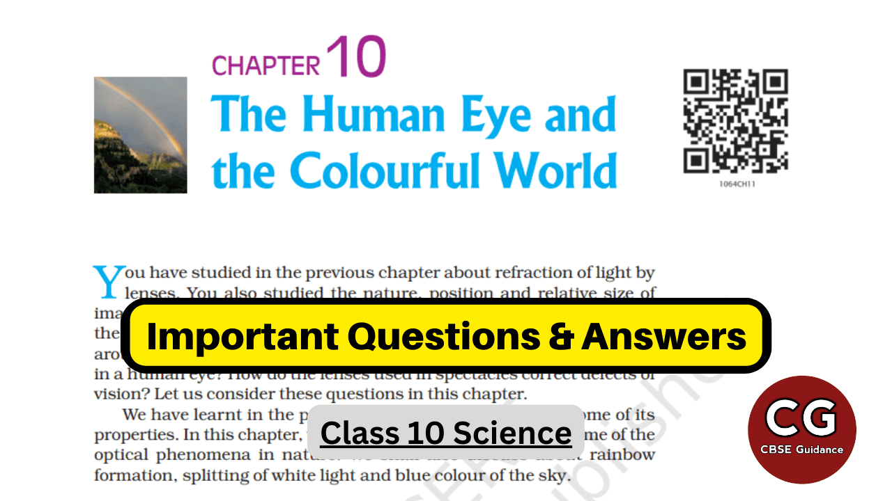 The Human Eye And The Colourful World Class 10: Top Q&A - CBSE Guidance