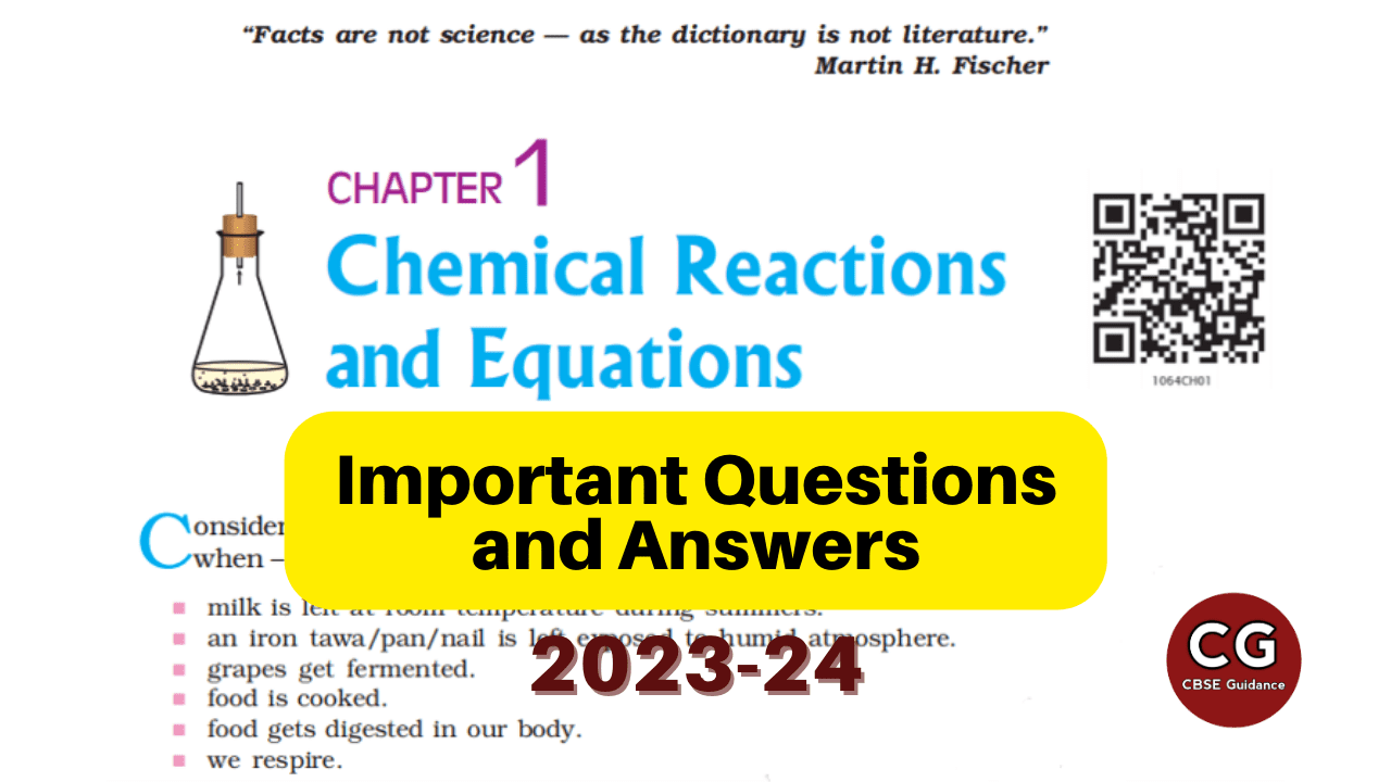 case study based questions chemical reactions and equations