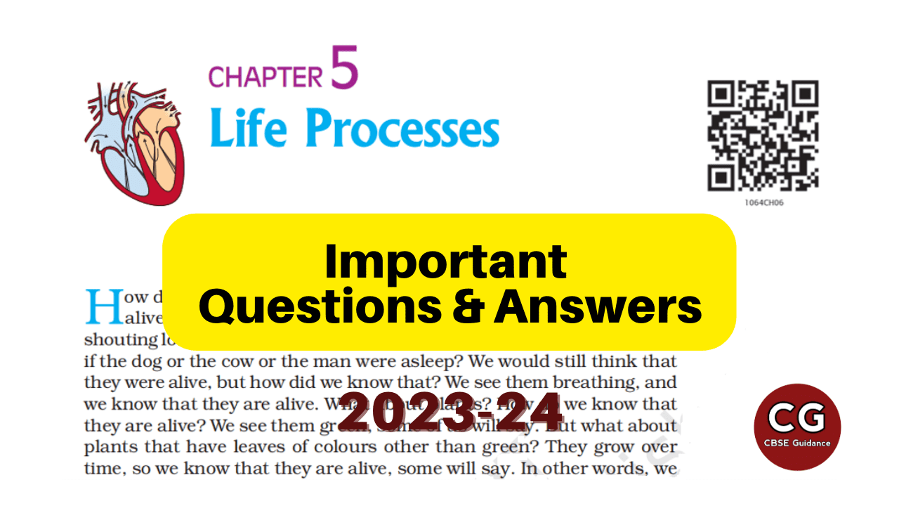 Life Processes Class 10 Important Questions And Answers Cbse Guidance