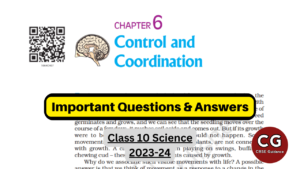 Control And Coordination Class 10 Top Questions And Answers - CBSE Guidance