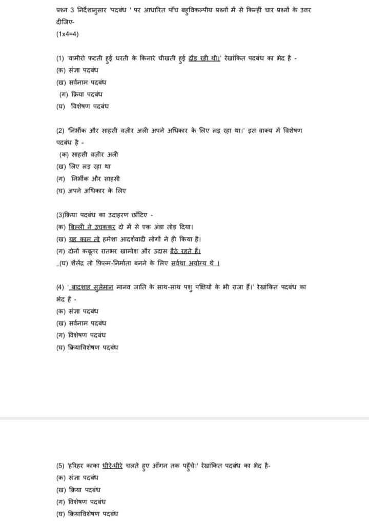 The Ultimate Guide To CBSE Class 10 Hindi B Official Sample Paper For ...