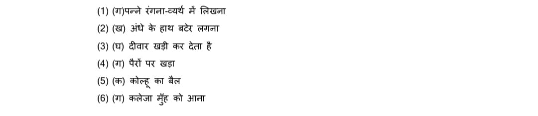 Class 10 Hindi B official sample paper 2022-23vi