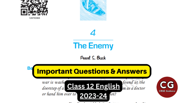 class 12 english vistas the enemy question answers