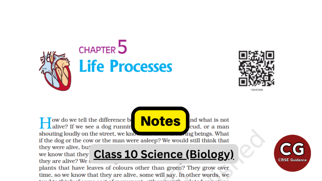 life processes class 10 notes pdf