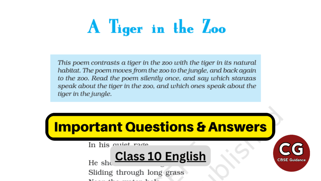 a tiger in the zoo class 10 important questions answers