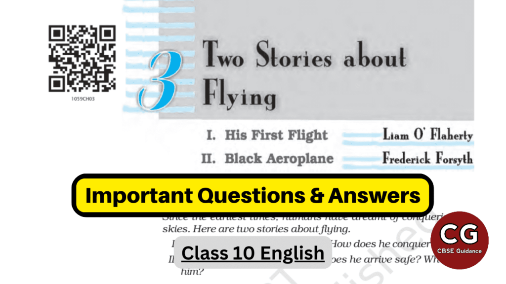 two stories about flying class 10 important questions answers