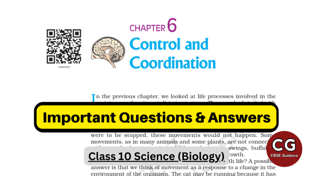 control and coordination class 10 important questions and answers